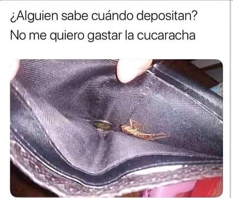 ¿Alguien sabe cuándo depositan? No me quiero gastar la cucaracha