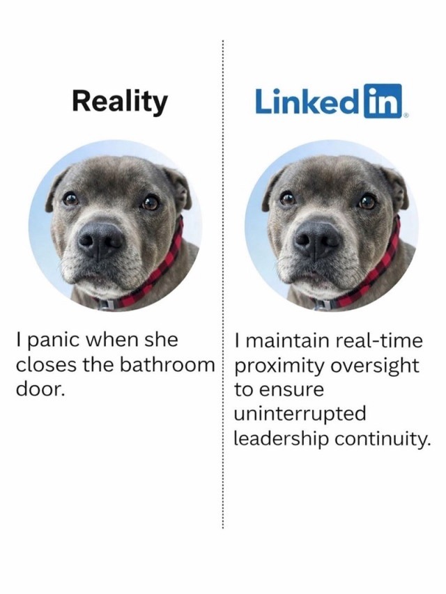 Reality: I panic when she closes the bathroom door.
LinkedIn: I maintain real-time proximity oversight to ensure uninterrupted leadership continuity.