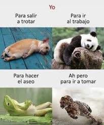 Yo
Para salir a trotar
Para ir al trabajo
Para hacer el aseo
Ah pero para ir a tomar