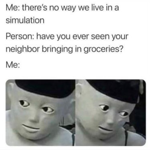 Me: there's no way we live in a simulation
Person: have you ever seen your neighbor bringing in groceries?
Me: