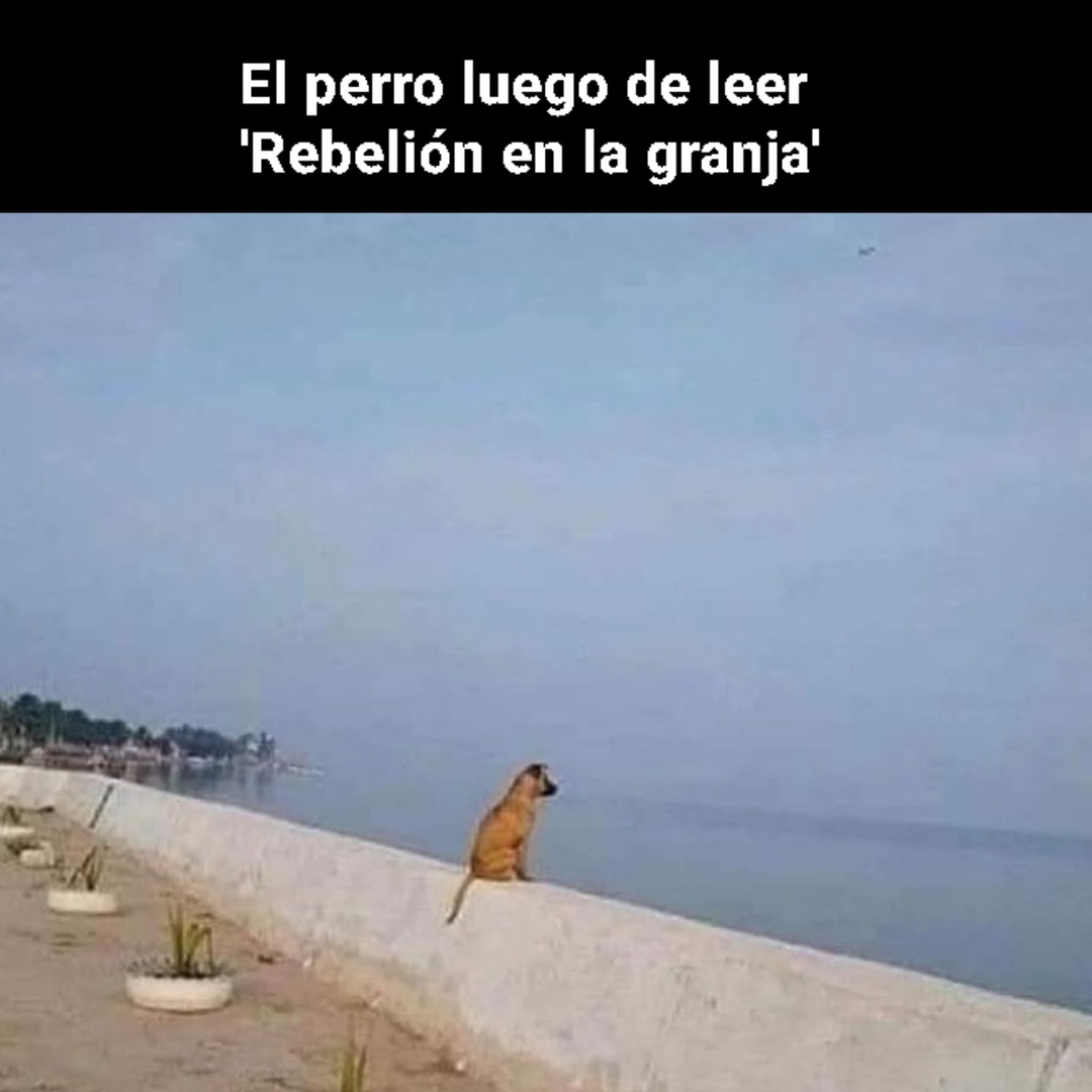 El perro luego de leer 'Rebelión en la granja'
