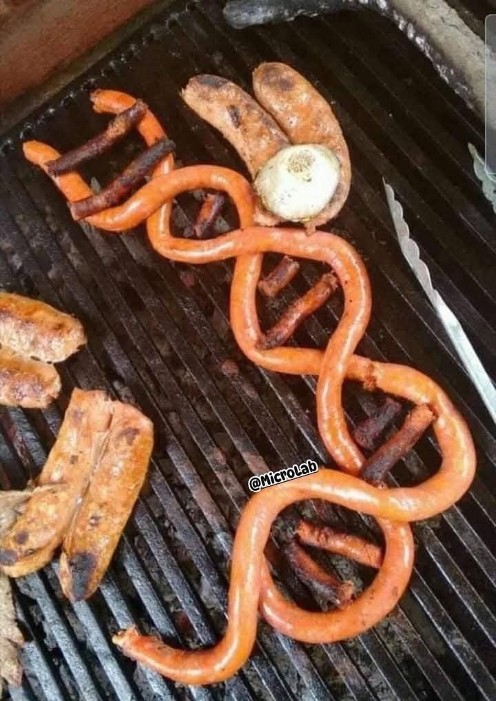 Salchichas en forma de espiral sobre una parrilla, con pan y una cebolla asada