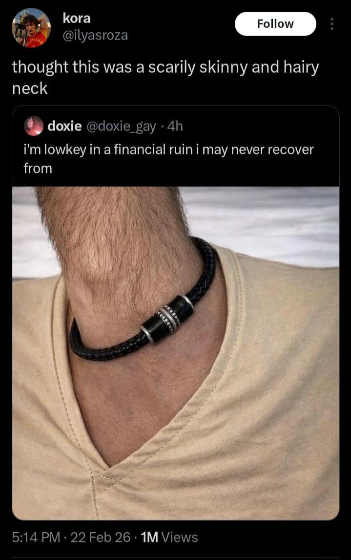 thought this was a scarily skinny and hairy neck

shared post by doxie: i'm lowkey in a financial ruin i may never recover from

image: a close-up of a hairy wrist wearing a black braided bracelet with a metallic clasp