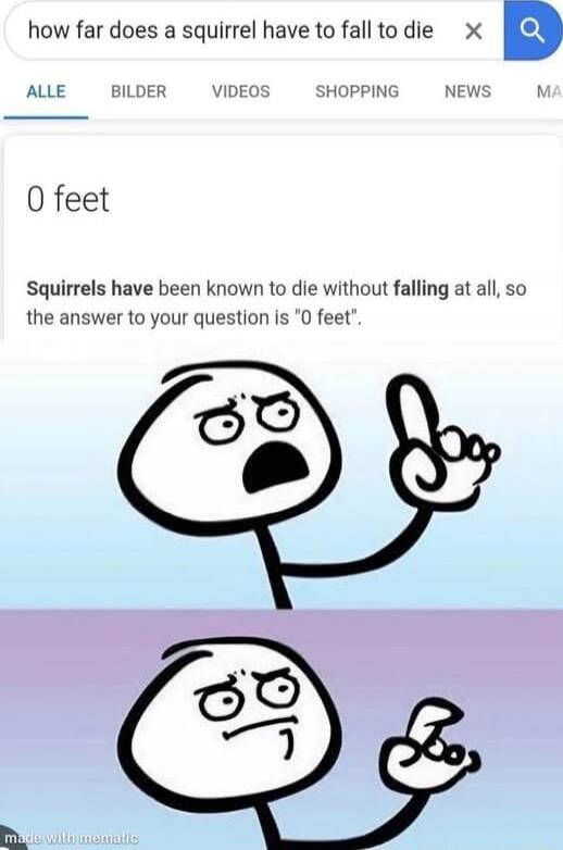 how far does a squirrel have to fall to die
0 feet
Squirrels have been known to die without falling at all, so the answer to your question is 