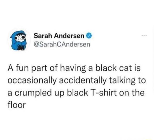 A fun part of having a black cat is occasionally accidentally talking to a crumpled up black T-shirt on the floor