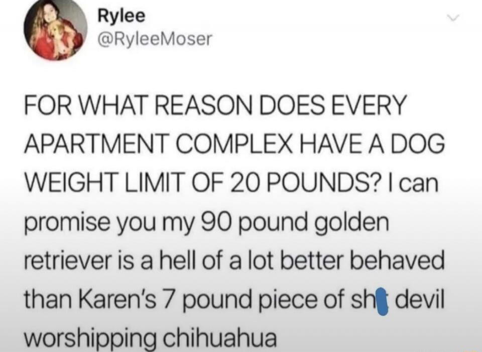 FOR WHAT REASON DOES EVERY APARTMENT COMPLEX HAVE A DOG WEIGHT LIMIT OF 20 POUNDS? I can promise you my 90 pound golden retriever is a hell of a lot better behaved than Karen's 7 pound piece of sh** devil worshipping chihuahua