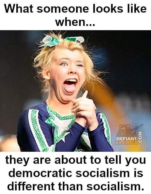 What someone looks like when... they are about to tell you democratic socialism is different than socialism.