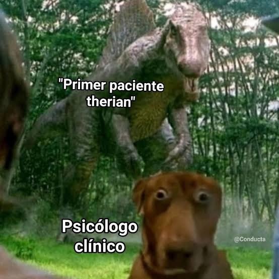 Primer paciente therian
Psicólogo clínico