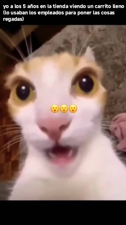 yo a los 5 años en la tienda viendo un carrito lleno (lo usaban los empleados para poner las cosas regadas)