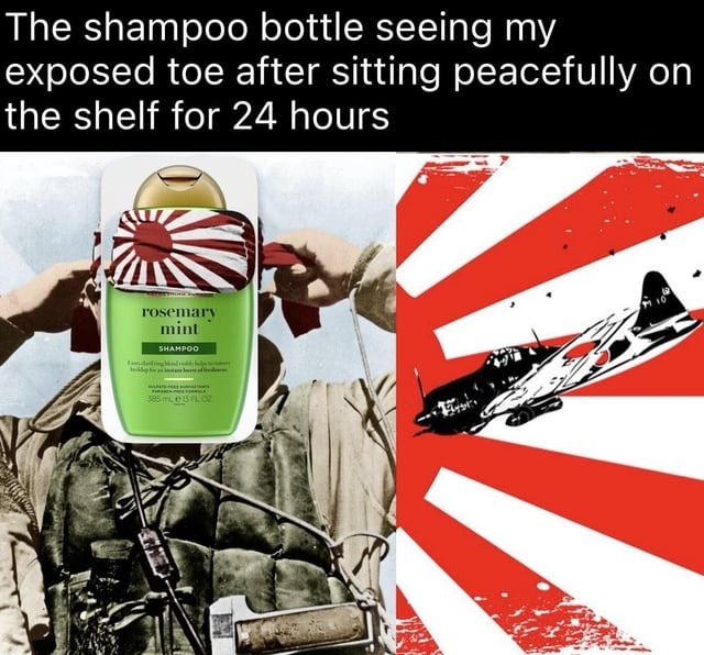 The shampoo bottle seeing my exposed toe after sitting peacefully on the shelf for 24 hours