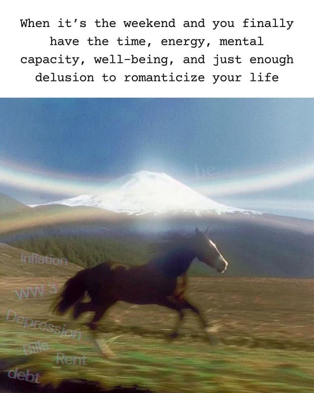 When it's the weekend and you finally have the time, energy, mental capacity, well-being, and just enough delusion to romanticize your life

Inflation
Depression
Rent
Debt