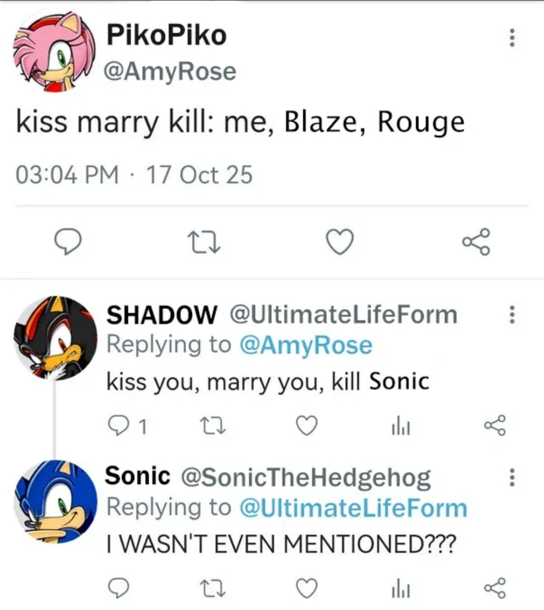 kiss marry kill: me, Blaze, Rouge

SHADOW: kiss you, marry you, kill Sonic

Sonic: I WASN'T EVEN MENTIONED???