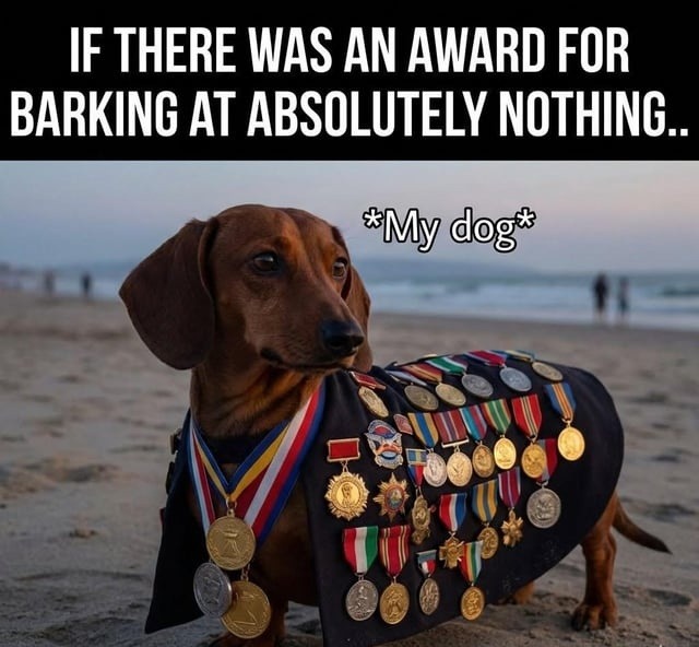 IF THERE WAS AN AWARD FOR BARKING AT ABSOLUTELY NOTHING..
*My dog*