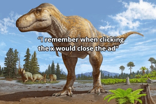 I remember when clicking the x would close the ad
