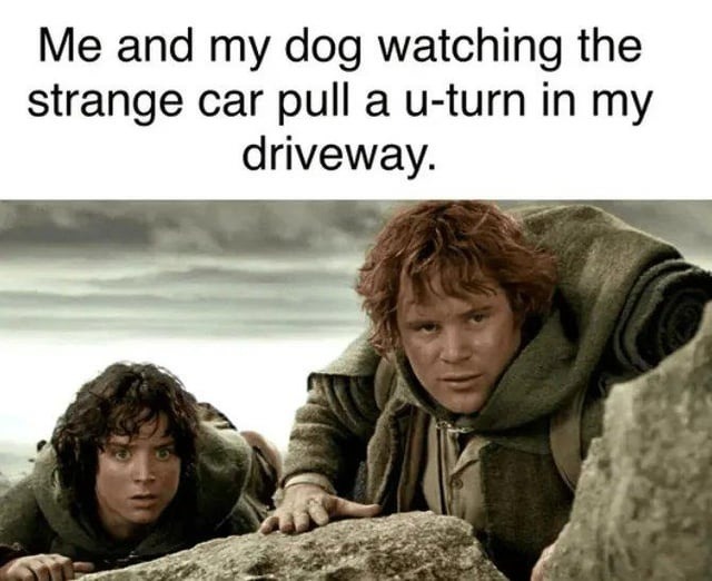 Me and my dog watching the strange car pull a u-turn in my driveway.