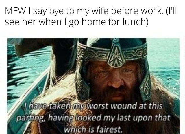 MFW I say bye to my wife before work. (I'll see her when I go home for lunch)
I have taken my worst wound at this parting, having looked my last upon that which is fairest.