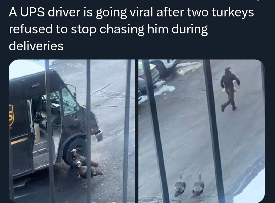 A UPS driver is going viral after two turkeys refused to stop chasing him during deliveries