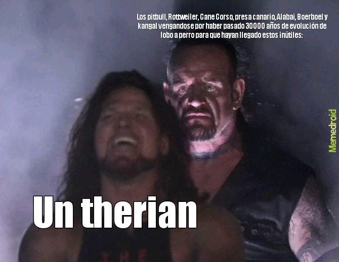 Un therian
Los pitbull, Rottweiler, Cane Corso, presa canario, Alabai, Boerboel y kangal vengándose por haber pasado 30000 años de evolución de lobo a perro para que hayan llegado estos inútiles: