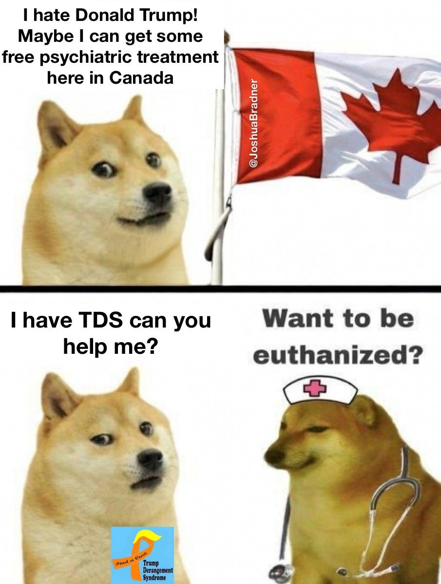 I hate Donald Trump! Maybe I can get some free psychiatric treatment here in Canada

I have TDS can you help me?

Want to be euthanized?