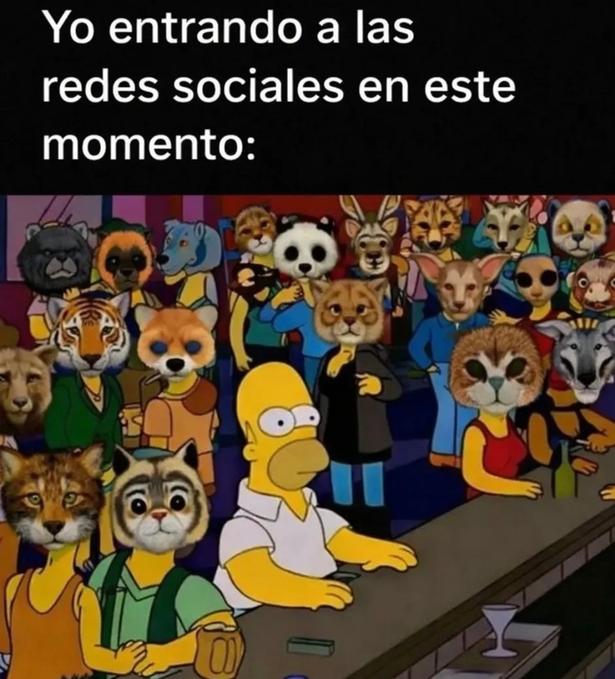 Yo entro a las redes sociales en este momento: