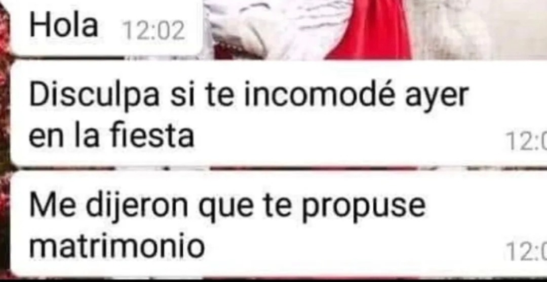 Hola
Disculpa si te incomodó ayer en la fiesta
Me dijeron que te propuse matrimonio