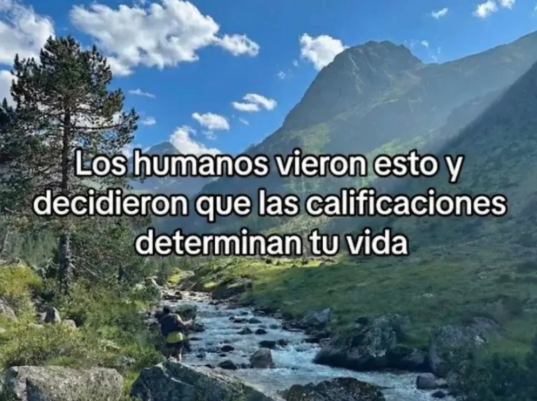 Los humanos vieron esto y decidieron que las calificaciones determinan tu vida
