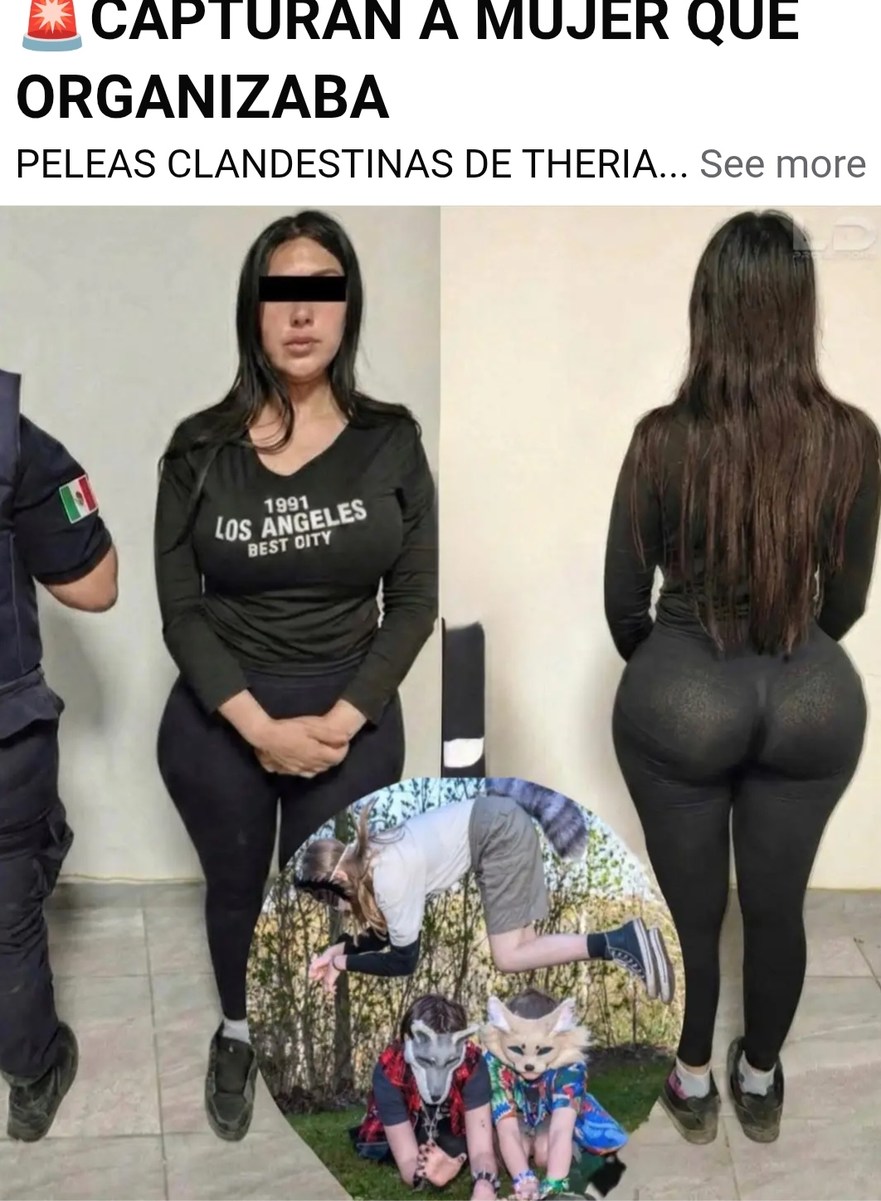 CAPTURAN A MUJER QUE ORGANIZABA PELEAS CLANDESTINAS DE THERIA... See more