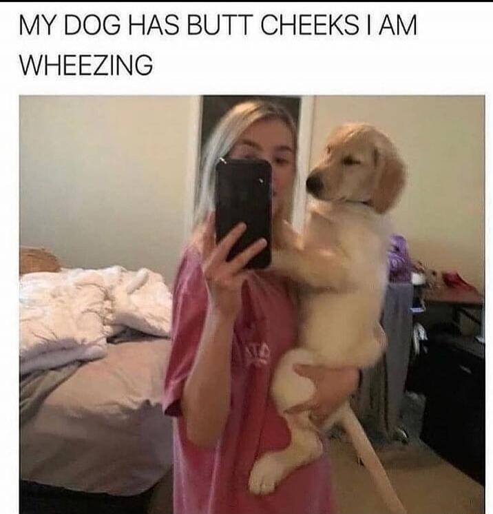 MY DOG HAS BUTT CHEEKS I AM WHEEZING