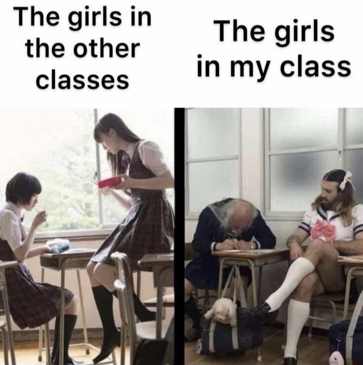 The girls in the other classes The girls in my class