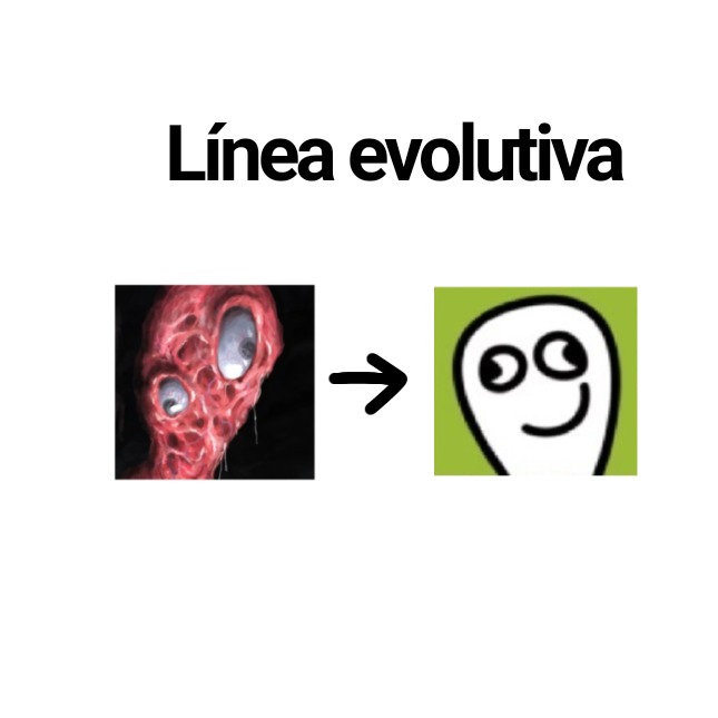 Línea evolutiva