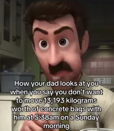 How your dad looks at you when you say you don't want to move 13,193 kilograms worth of concrete bags with him at 5:38am on a Sunday morning