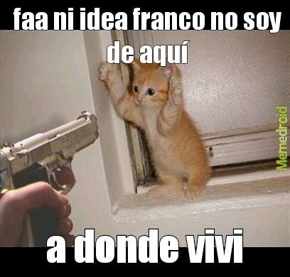 faa ni idea franco no soy de aquí a donde vivi