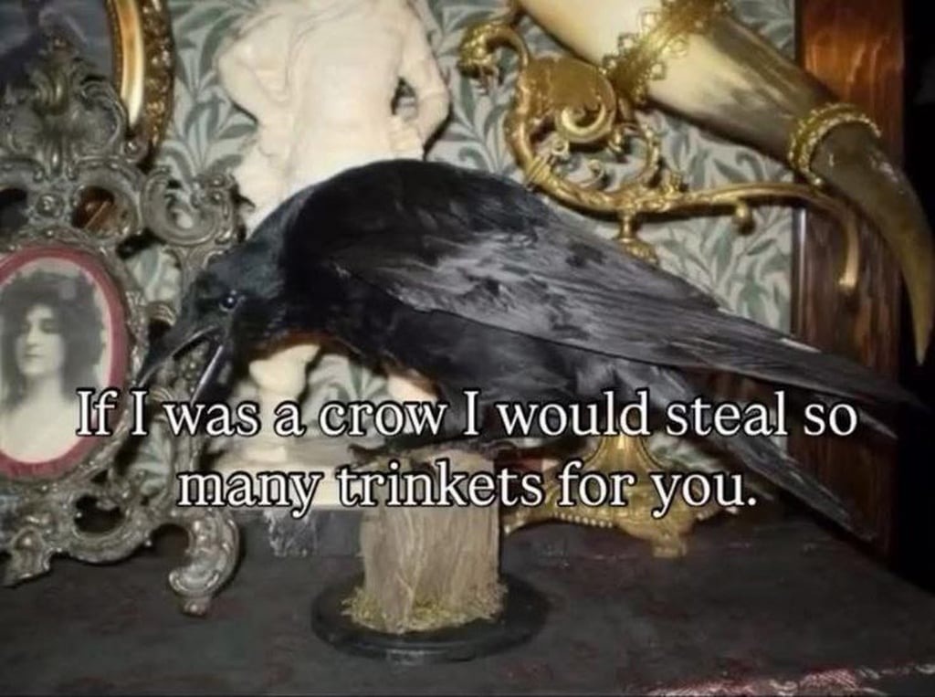 If I was a crow I would steal so many trinkets for you.