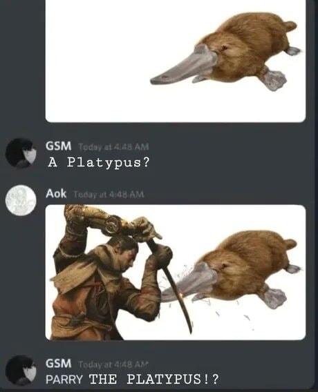 A Platypus?
PARRY THE PLATYPUS!?