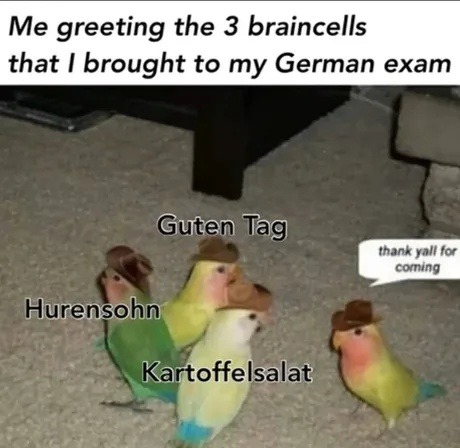 Me greeting the 3 braincells that I brought to my German exam
Guten Tag
Hurensohn
Kartoffelsalat