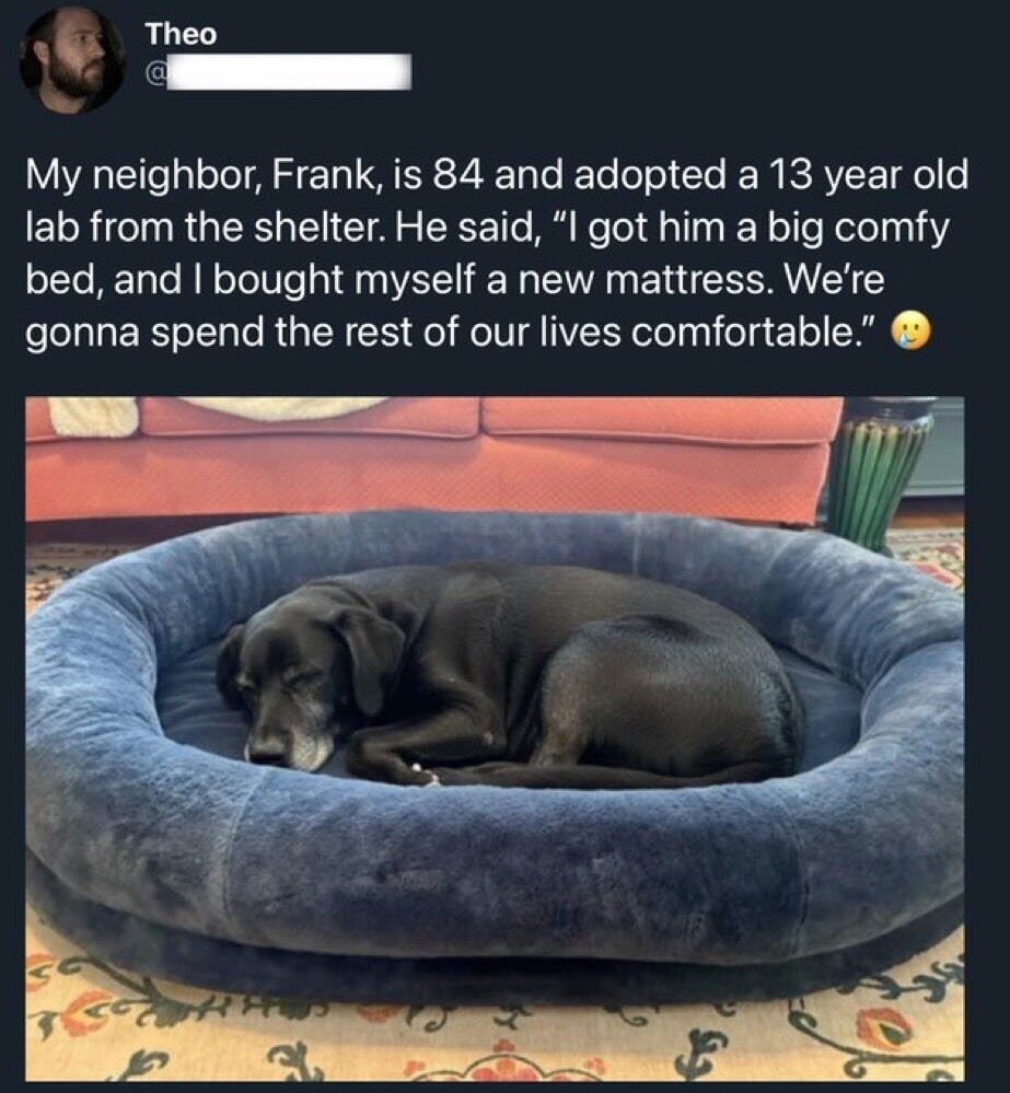 My neighbor, Frank, is 84 and adopted a 13 year old lab from the shelter. He said, 'I got him a big comfy bed, and I bought myself a new mattress. We’re gonna spend the rest of our lives comfortable.' 😮