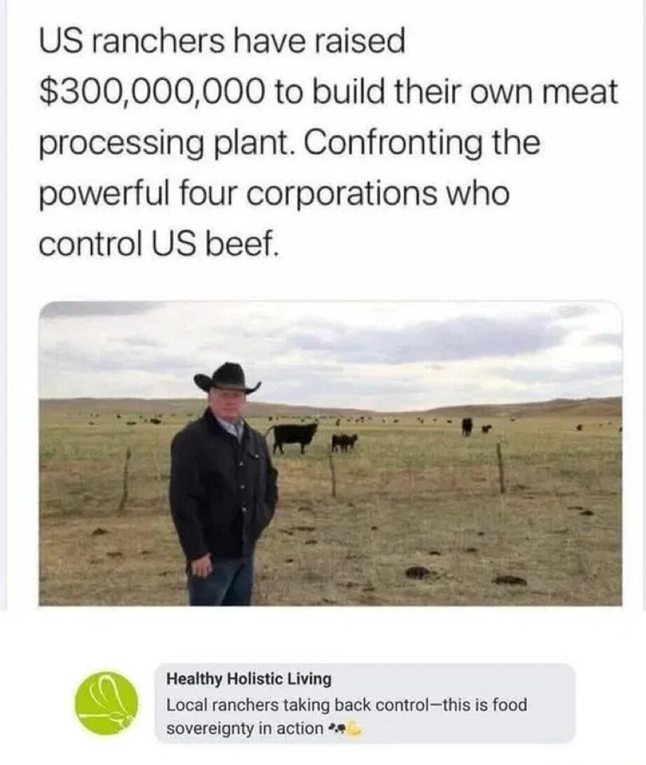 US ranchers have raised $300,000,000 to build their own meat processing plant. Confronting the powerful four corporations who control US beef. Healthy Holistic Living Local ranchers taking back control—this is food sovereignty in action🍖