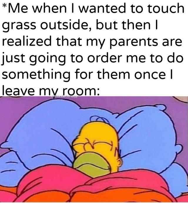 *Me when I wanted to touch grass outside, but then I realized that my parents are just going to order me to do something for them once I leave my room: