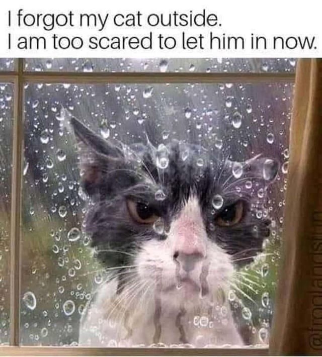 I forgot my cat outside. I am too scared to let him in now.