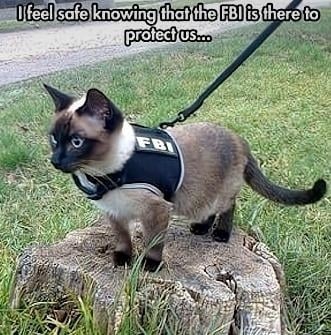 I feel safe knowing that the FBI is there to protect us...