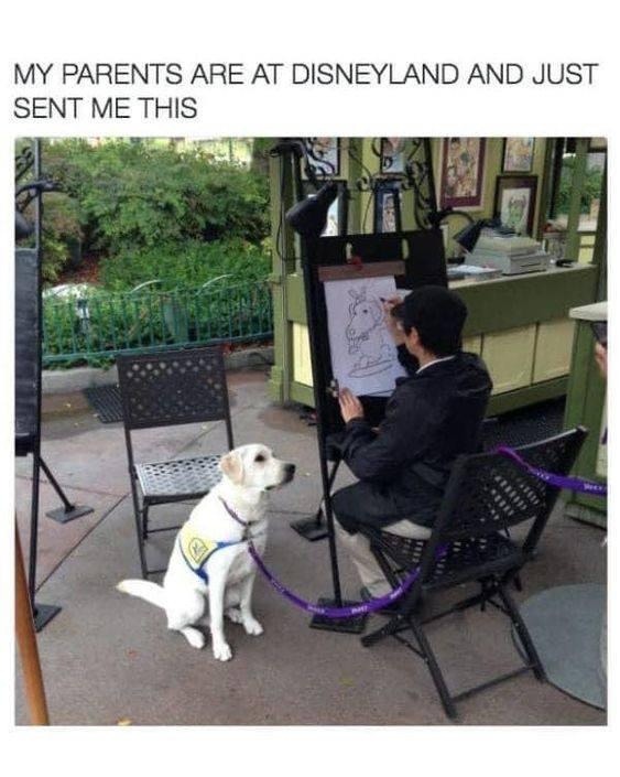 MY PARENTS ARE AT DISNEYLAND AND JUST SENT ME THIS