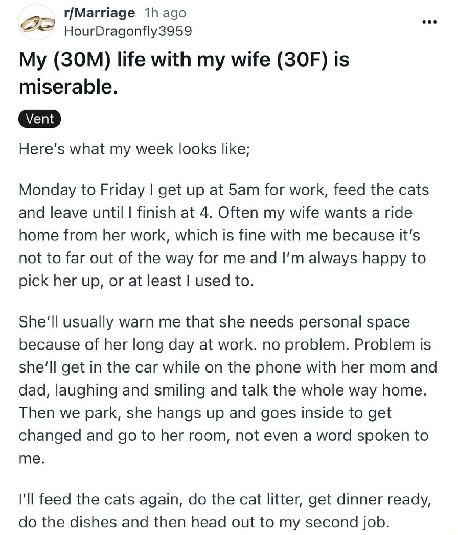 My (30M) life with my wife (30F) is miserable.

Here's what my week looks like;

Monday to Friday I get up at 5am for work, feed the cats and leave until I finish at 4. Often my wife wants a ride home from her work, which is fine with me because it’s not far out of the way for me and I’m always happy to pick her up, or at least I used to.

She'll u