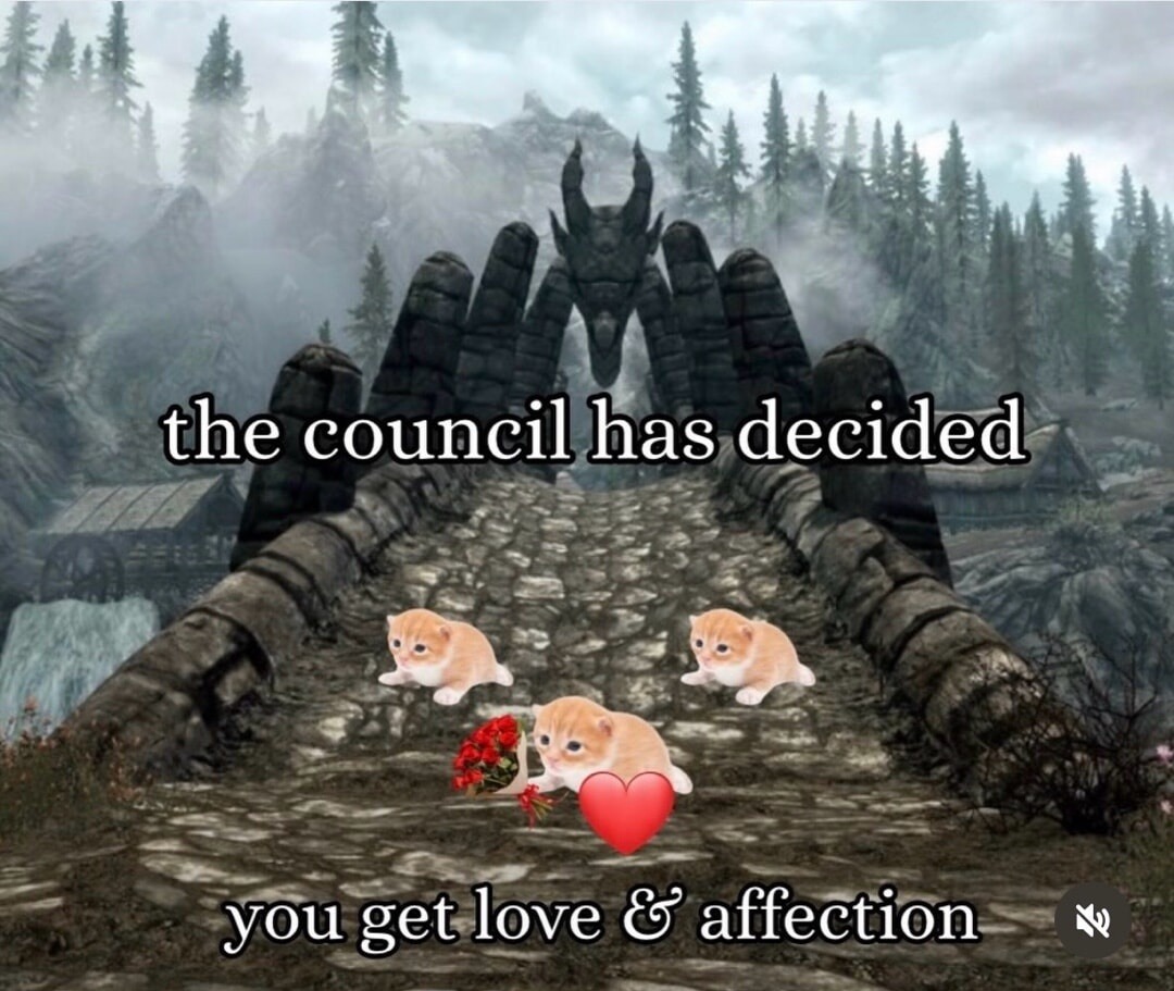 the council has decided you get love & affection