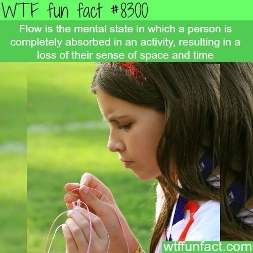 WTF fun fact #8300 Flow is the mental state in which a person is completely absorbed in an activity, resulting in a loss of their sense of space and time