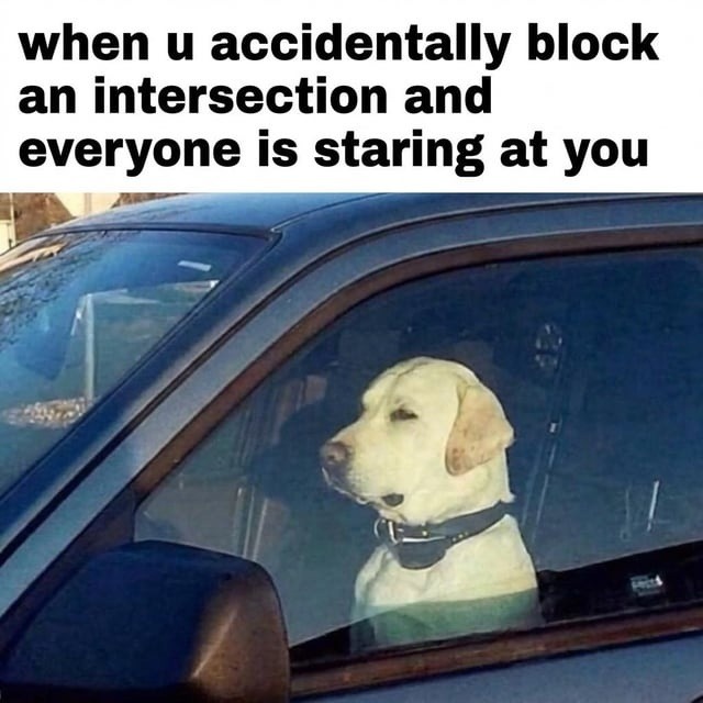 when u accidentally block an intersection and everyone is staring at you