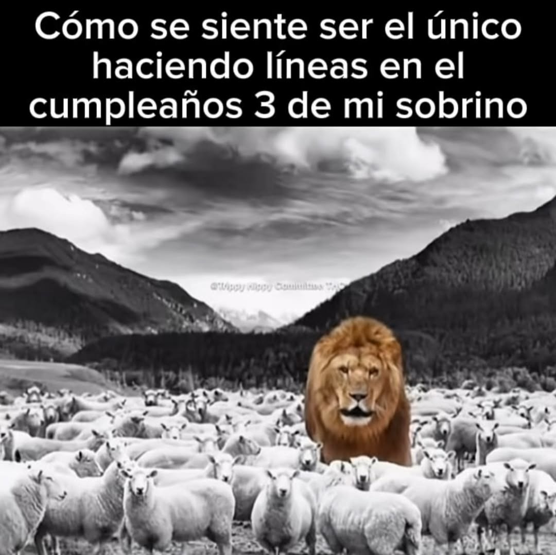 Cómo se siente ser el único haciendo líneas en el cumpleaños 3 de mi sobrino