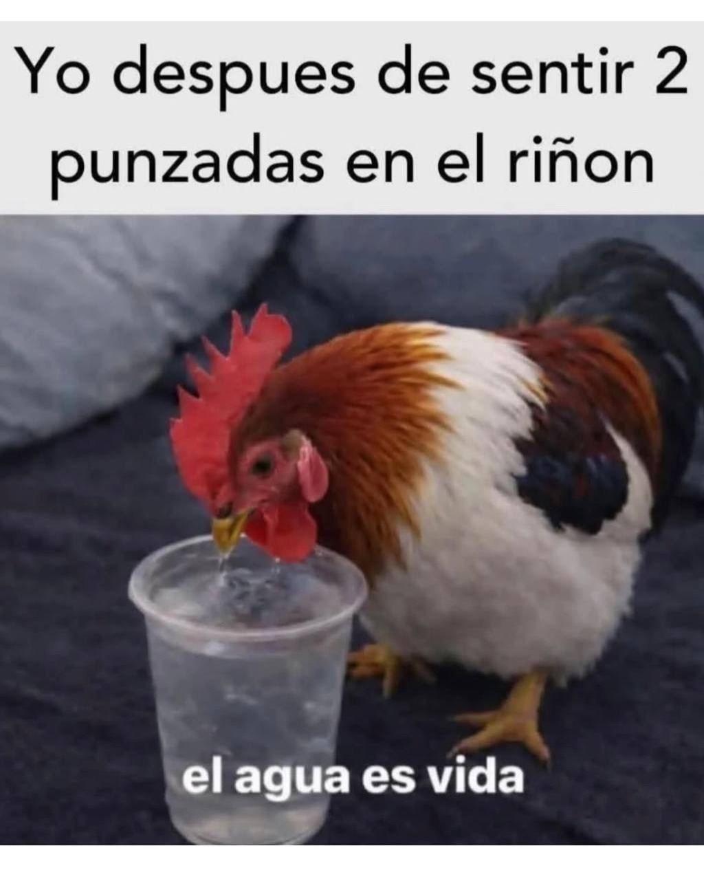 Yo despues de sentir 2 punzadas en el riñón el agua es vida