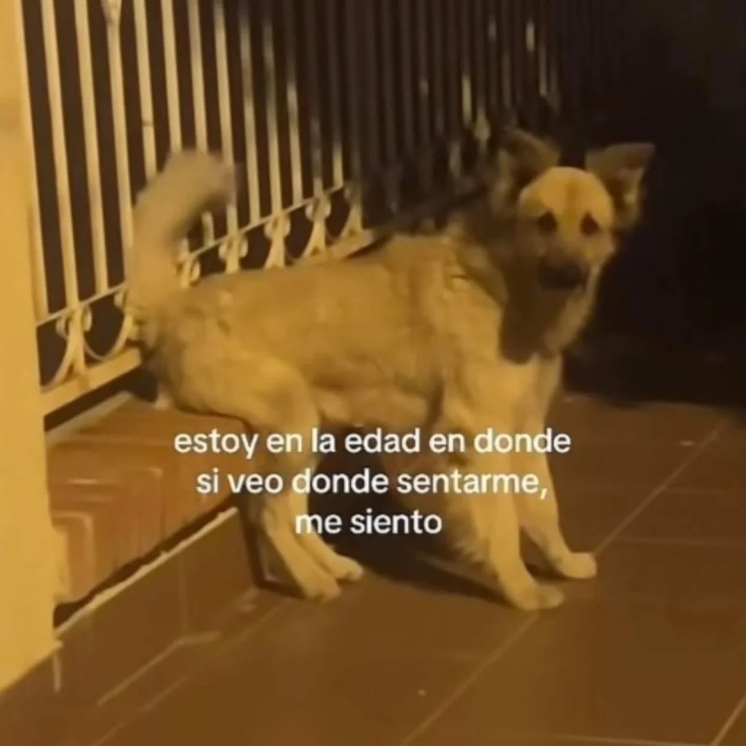 estoy en la edad en donde si veo donde sentarme, me siento