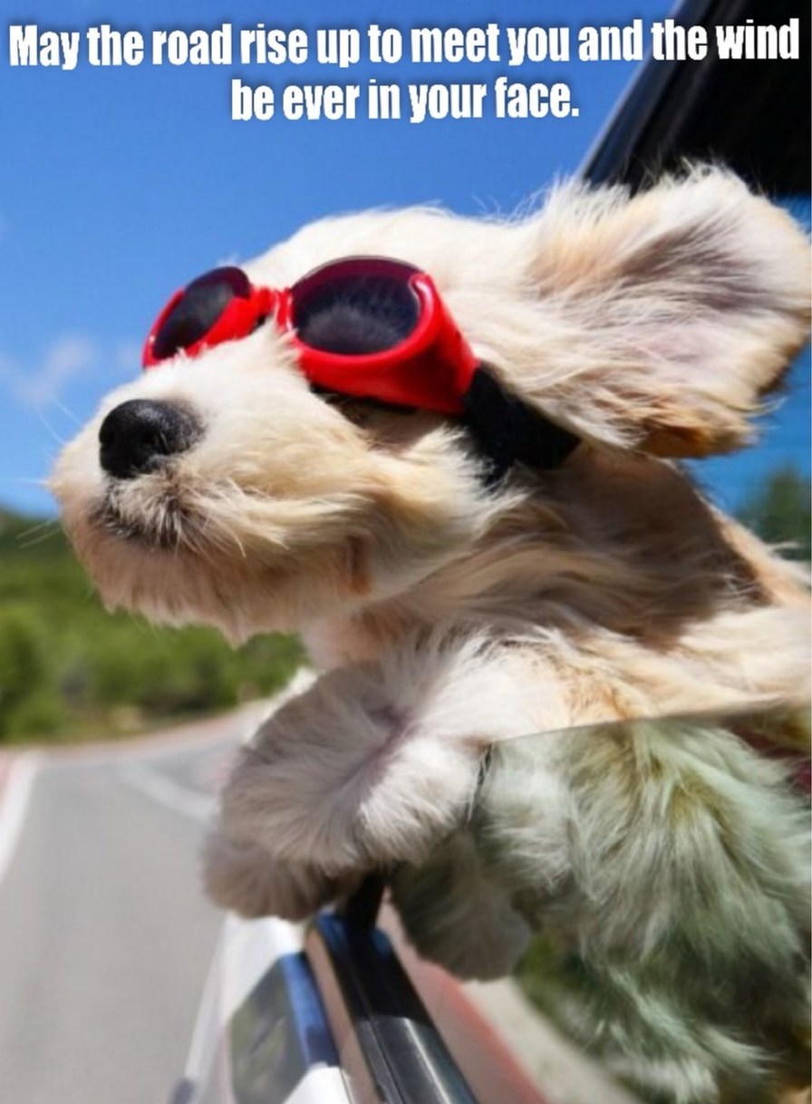 May the road rise up to meet you and the wind be ever in your face.