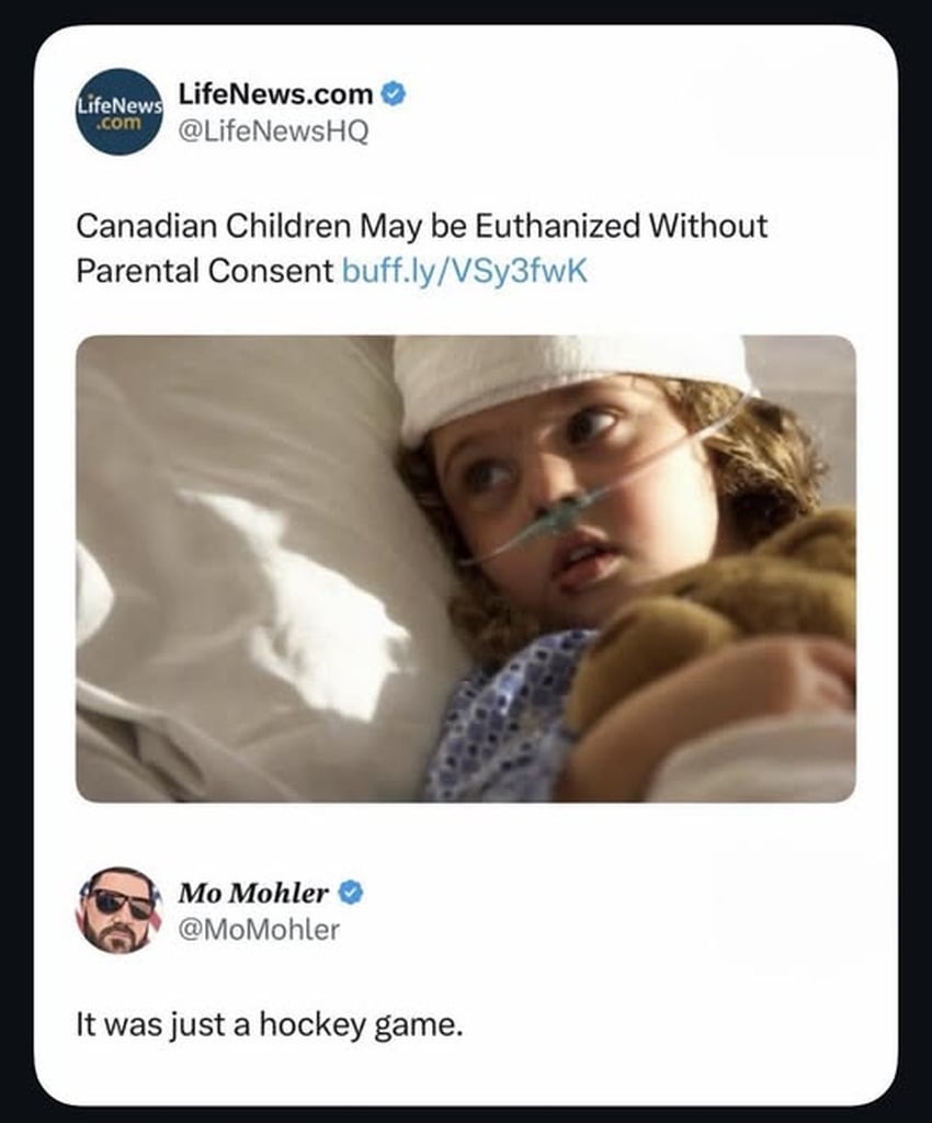 Canadian Children May be Euthanized Without Parental Consent buff.ly/VSy3fwk It was just a hockey game.